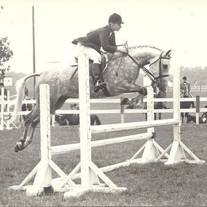 Meet your Posher, Donna